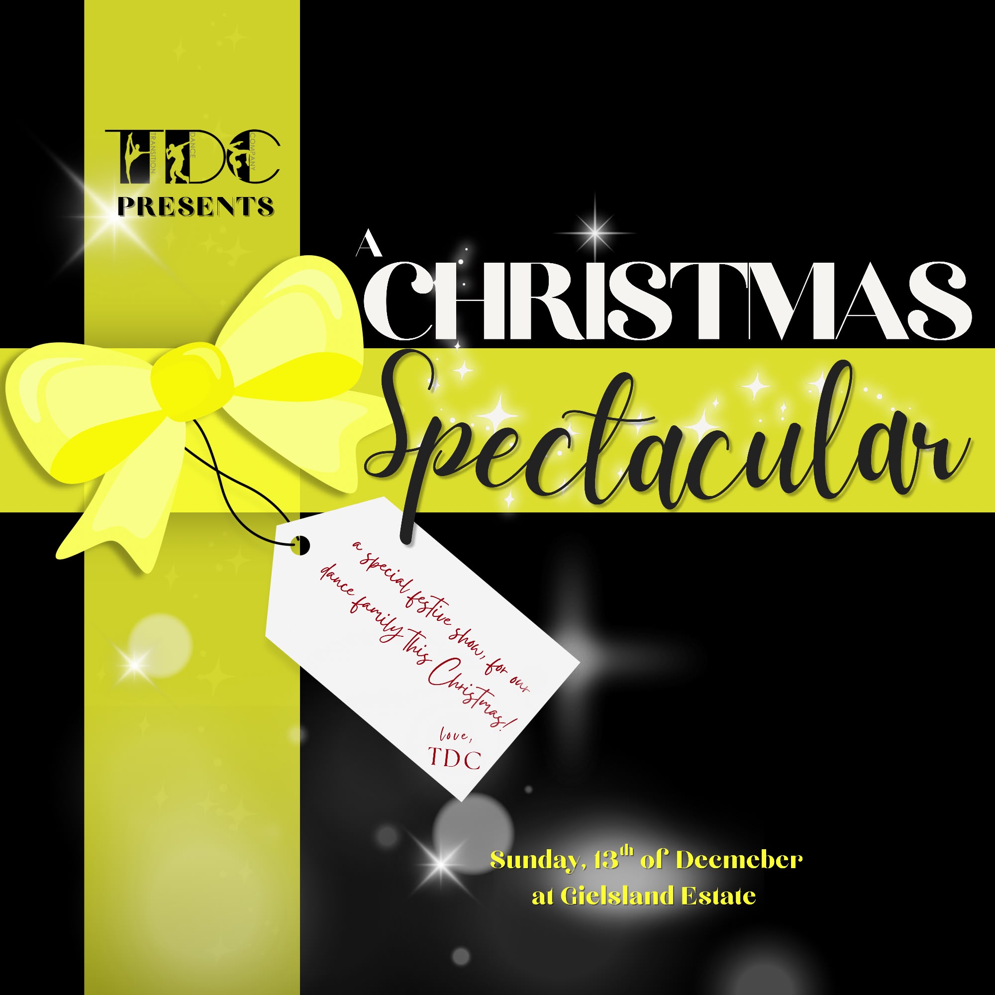 Performer's Ticket for - A Christmas Spectacular 